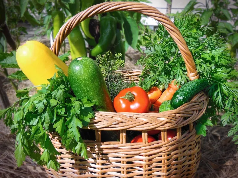 From Bed to Bushel: The Overlooked Link Between Compost, Soil, and Parasite-Contaminated Harvests