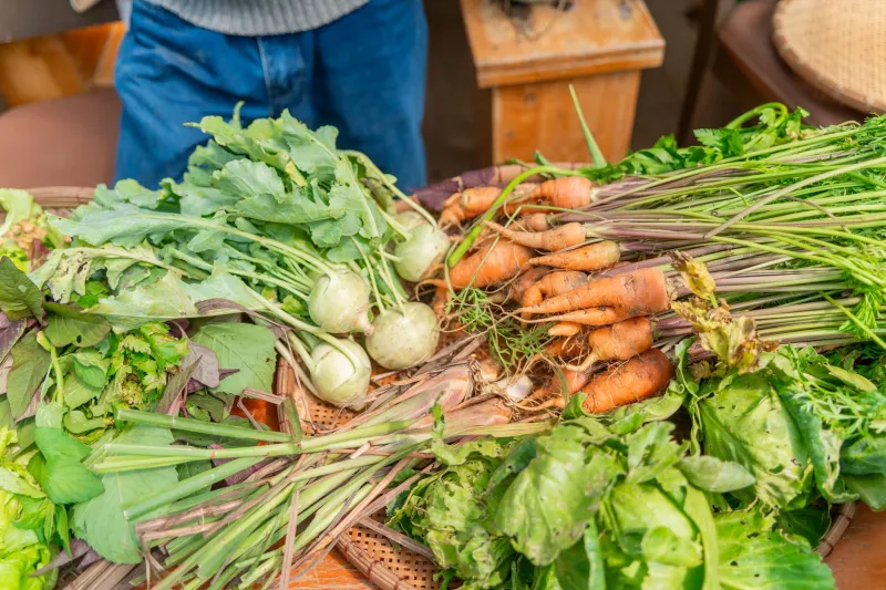 The CSA Paradox: Why Your Farm-Fresh Box Deserves a Second Look Before Dinner