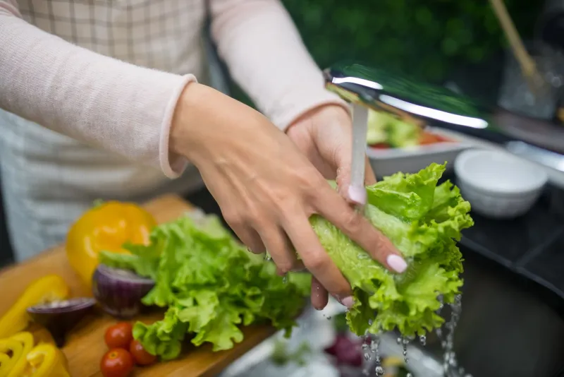 What's Really on Your Plate: Parasitic Contamination in the American Food Supply and How to Protect Your Household